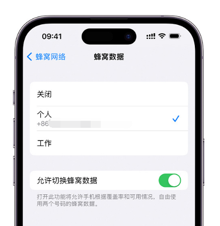 瑞金苹果维修服务分享如何在iPhone上使用双卡 