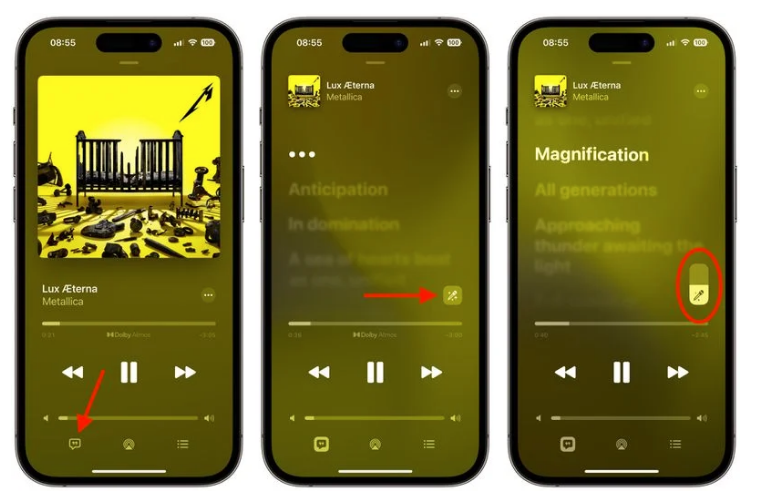 瑞金苹果服务网点分享iOS 16.2 全新功能：在 iPhone 或 iPad 上使用 Apple Music 唱歌 
