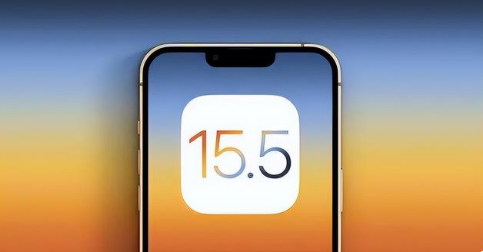 瑞金苹果手机维修分享iOS15.5 RC版升级建议 